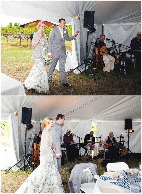 June-wedding-2014-Leelanu-Michigan-KarunaPhoto-photo_0032