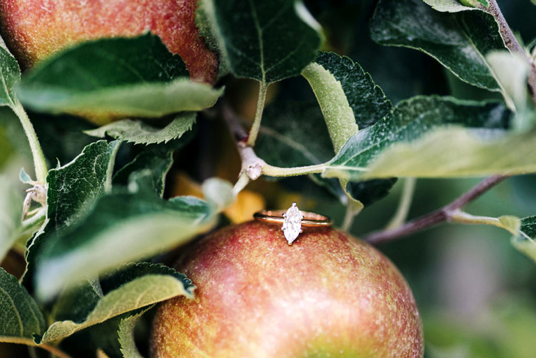 a close up photo of an engagement ring on an apple in arcadia mi