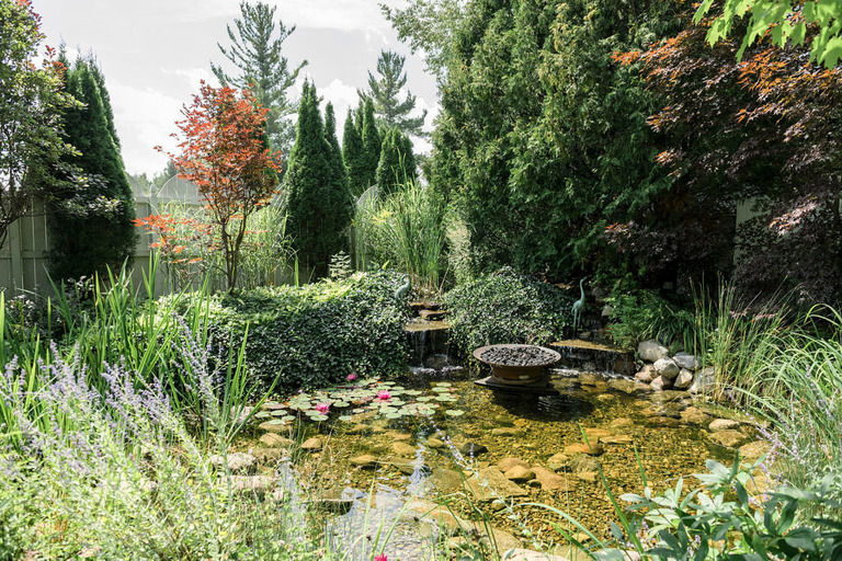 a pond with ornamental plantings