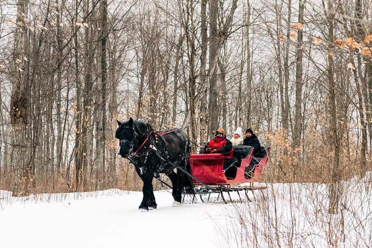 a black horse and a red sleigh pulling three people in the snow at fantail farm