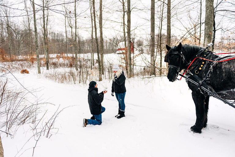 a man kneels in the snow at fantail farm for a marriage proposal