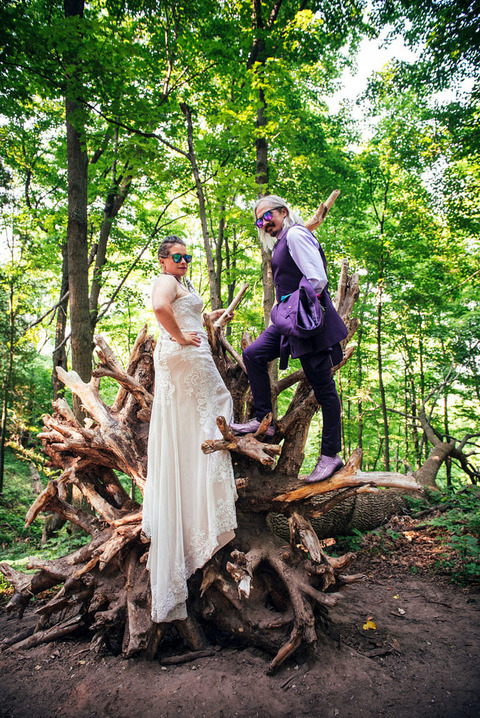 The wedding couple posing on the roots of a fallen tree at sleeping bear dunes.