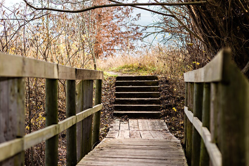 bridge in Traverse City trail