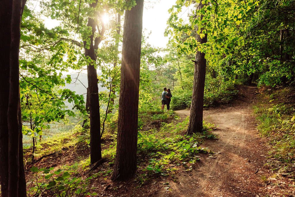 a man and woman kiss in the mature woods with the sun streaming between the trees on an engagement adventure.