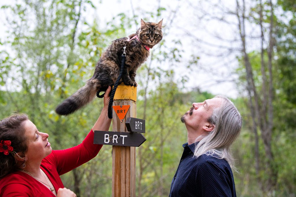 how do engagement photos work? a woman in a red dress and a man both wonder as they gaze at a cat on the top pf a sign post on a trail